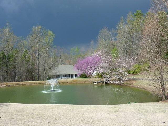 5918 Roselight Ln - photo 1